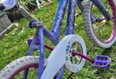 FREE Girls’ Bike – pick up in High River