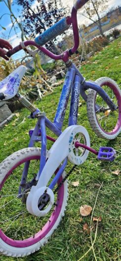 FREE Girls’ Bike – pick up in High River