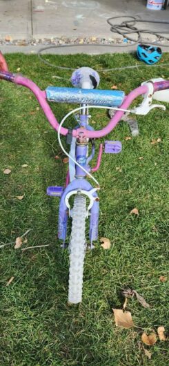 FREE Girls’ Bike – pick up in High River