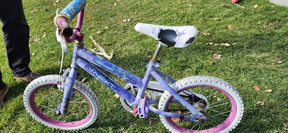 FREE Girls’ Bike – pick up in High River