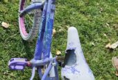 FREE Girls’ Bike – pick up in High River