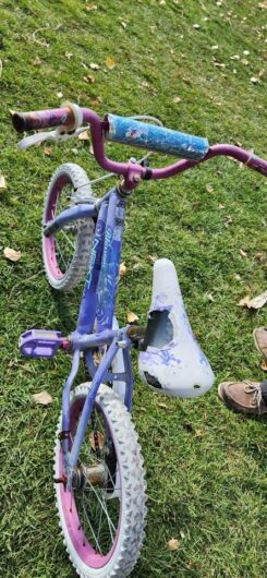 FREE Girls’ Bike – pick up in High River